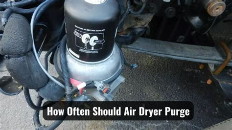 how often should air dryer purge|AIR DRYER AIR DISCHARGE...how many times is to many times.